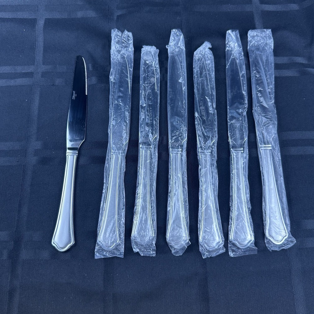 Lot‎ Of 7 Pfaltzgraff Capri Frost Stainless Flatware Dinner Knives